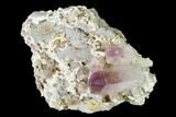 Amethyst Crystal Cluster - Las Vigas, Mexico #136984-1